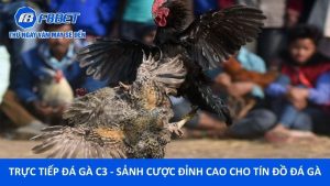 Trực Tiếp Đá Gà C3